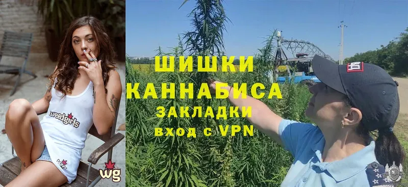 где можно купить наркотик  Кашин  Каннабис Ganja 